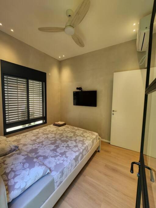 דירות חיפה Cohen'S House מראה חיצוני תמונה